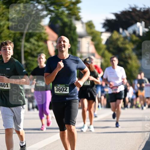 01.09.2024 - BARMER Alsterlauf Dr. Thomas Lammeyer http://msf.ph/oto/6900610 01.09.2024 09:38:08 Laufen 601, 6078, 35, 3602 meine-sportfotos.de