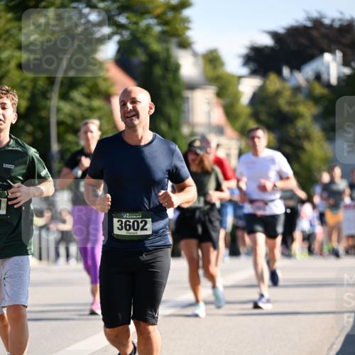 01.09.2024 - BARMER Alsterlauf Dr. Thomas Lammeyer http://msf.ph/oto/6900629 01.09.2024 09:38:09 Laufen 5, 3602 meine-sportfotos.de