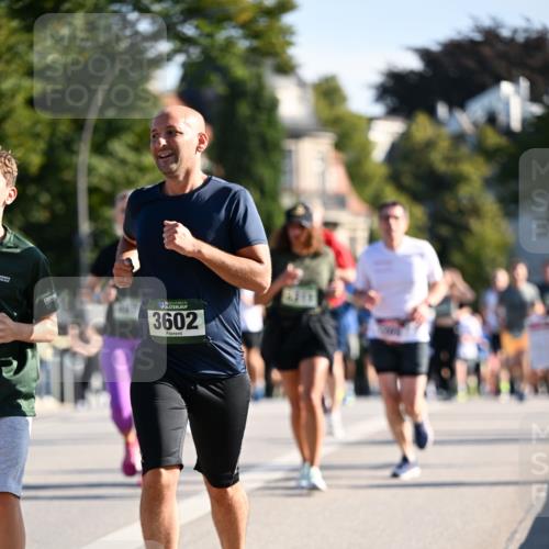 01.09.2024 - BARMER Alsterlauf Dr. Thomas Lammeyer http://msf.ph/oto/6900637 01.09.2024 09:38:09 Laufen 35, 3602 meine-sportfotos.de