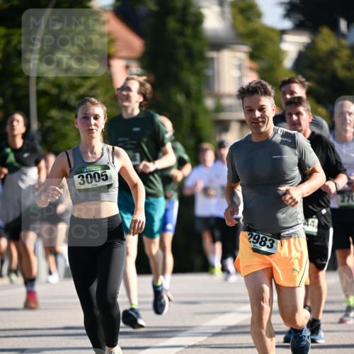 01.09.2024 - BARMER Alsterlauf Dr. Thomas Lammeyer http://msf.ph/oto/6900817 01.09.2024 09:38:16 Laufen 3005, 2983, 270 meine-sportfotos.de