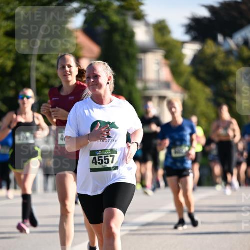 01.09.2024 - BARMER Alsterlauf Dr. Thomas Lammeyer http://msf.ph/oto/6901074 01.09.2024 09:38:28 Laufen 4, 35, 4557, 4112 meine-sportfotos.de