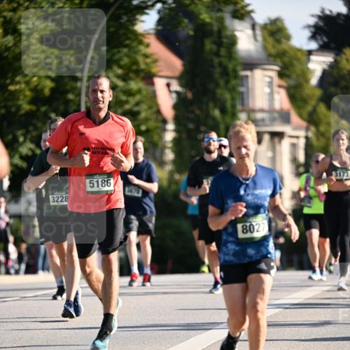 01.09.2024 - BARMER Alsterlauf Dr. Thomas Lammeyer http://msf.ph/oto/6901102 01.09.2024 09:38:30 Laufen 3228, 5186, 8027, 3173 meine-sportfotos.de