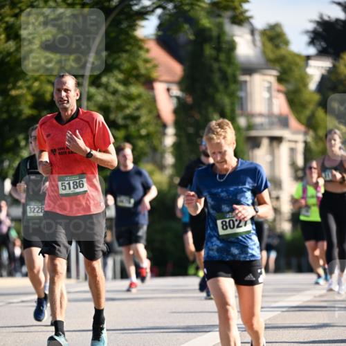 01.09.2024 - BARMER Alsterlauf Dr. Thomas Lammeyer http://msf.ph/oto/6901113 01.09.2024 09:38:30 Laufen 3228, 5186, 8027 meine-sportfotos.de