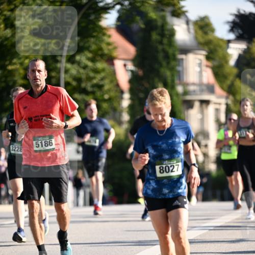 01.09.2024 - BARMER Alsterlauf Dr. Thomas Lammeyer http://msf.ph/oto/6901118 01.09.2024 09:38:30 Laufen 3228, 5186, 8027 meine-sportfotos.de