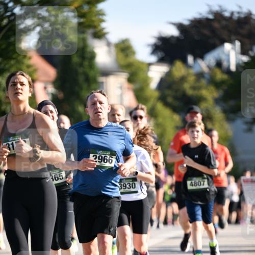 01.09.2024 - BARMER Alsterlauf Dr. Thomas Lammeyer http://msf.ph/oto/6901221 01.09.2024 09:38:35 Laufen 31, 365, 2966, 3930, 4807 meine-sportfotos.de
