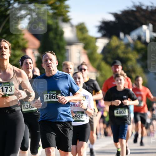01.09.2024 - BARMER Alsterlauf Dr. Thomas Lammeyer http://msf.ph/oto/6901230 01.09.2024 09:38:35 Laufen 173, 8365, 2966, 3930, 4807 meine-sportfotos.de