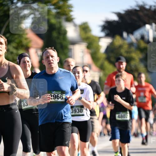 01.09.2024 - BARMER Alsterlauf Dr. Thomas Lammeyer http://msf.ph/oto/6901232 01.09.2024 09:38:36 Laufen 83, 35, 2966, 3930, 4807 meine-sportfotos.de