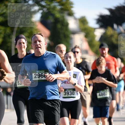 01.09.2024 - BARMER Alsterlauf Dr. Thomas Lammeyer http://msf.ph/oto/6901245 01.09.2024 09:38:36 Laufen 8, 35, 2966, 3930, 4807 meine-sportfotos.de