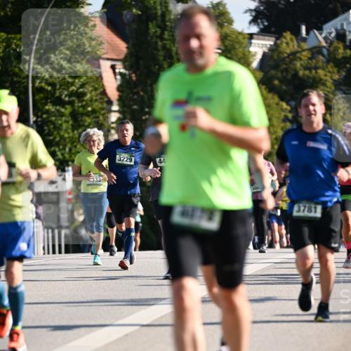 01.09.2024 - BARMER Alsterlauf Dr. Thomas Lammeyer http://msf.ph/oto/6901607 01.09.2024 09:38:54 Laufen 3229, 44, 506, 3781 meine-sportfotos.de