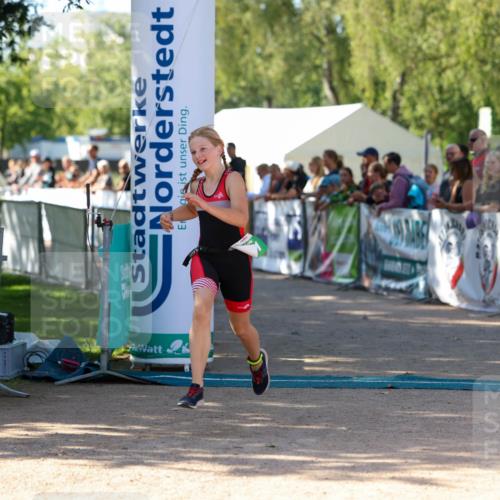 01.09.2024 - 17. Tribühne Triathlon Michael Strokosch http://msf.ph/oto/6902117 01.09.2024 11:00:48 Ziel 181, 1066 meine-sportfotos.de