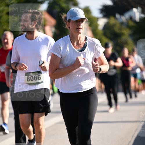 01.09.2024 - BARMER Alsterlauf Dr. Thomas Lammeyer http://msf.ph/oto/6902351 01.09.2024 09:39:20 Laufen 8066 meine-sportfotos.de