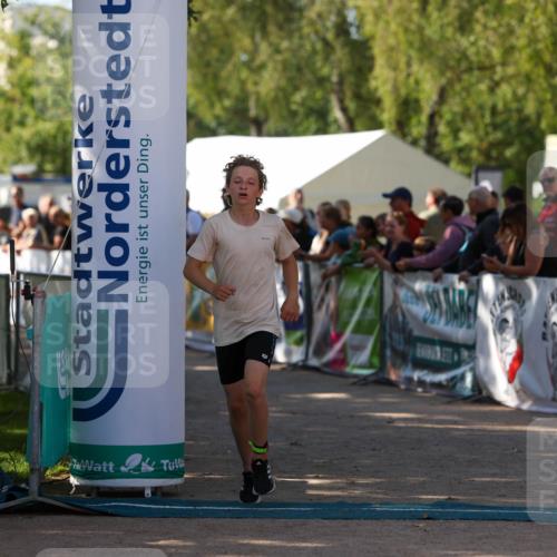 01.09.2024 - 17. Tribühne Triathlon Michael Strokosch http://msf.ph/oto/6902577 01.09.2024 11:01:41 Ziel 161, 200, 292 meine-sportfotos.de