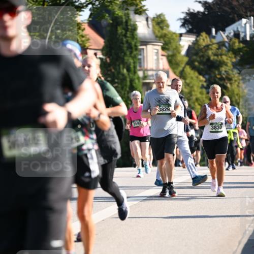 01.09.2024 - BARMER Alsterlauf Dr. Thomas Lammeyer http://msf.ph/oto/6902595 01.09.2024 09:39:30 Laufen 3592, 3829, 3830 meine-sportfotos.de