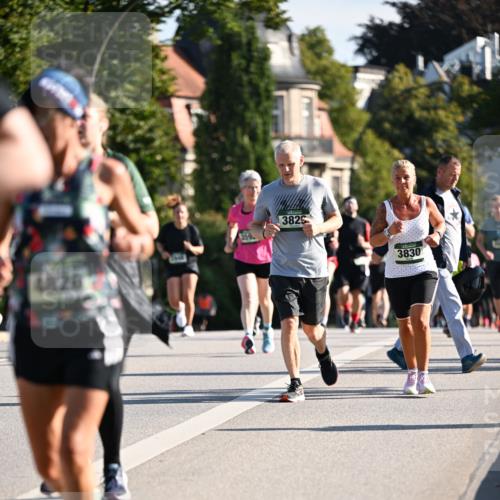 01.09.2024 - BARMER Alsterlauf Dr. Thomas Lammeyer http://msf.ph/oto/6902606 01.09.2024 09:39:31 Laufen 359, 3829, 3830 meine-sportfotos.de