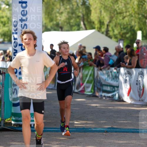 01.09.2024 - 17. Tribühne Triathlon Michael Strokosch http://msf.ph/oto/6902636 01.09.2024 11:01:44 Ziel 200, 292 meine-sportfotos.de