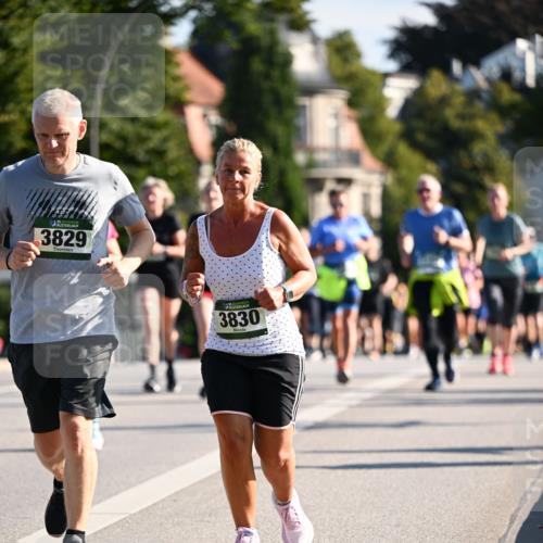 01.09.2024 - BARMER Alsterlauf Dr. Thomas Lammeyer http://msf.ph/oto/6902725 01.09.2024 09:39:34 Laufen 35, 3829, 3830 meine-sportfotos.de