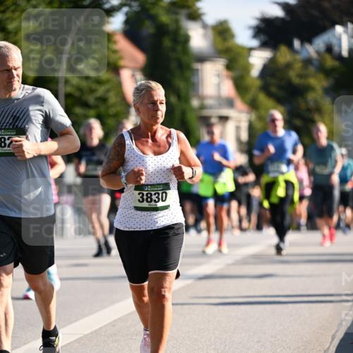 01.09.2024 - BARMER Alsterlauf Dr. Thomas Lammeyer http://msf.ph/oto/6902734 01.09.2024 09:39:34 Laufen 135, 87, 35, 3830 meine-sportfotos.de