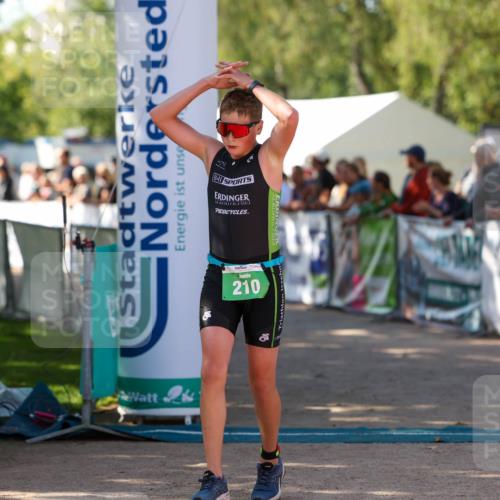 01.09.2024 - 17. Tribühne Triathlon Michael Strokosch http://msf.ph/oto/6902850 01.09.2024 11:02:05 Ziel 210, 288 meine-sportfotos.de
