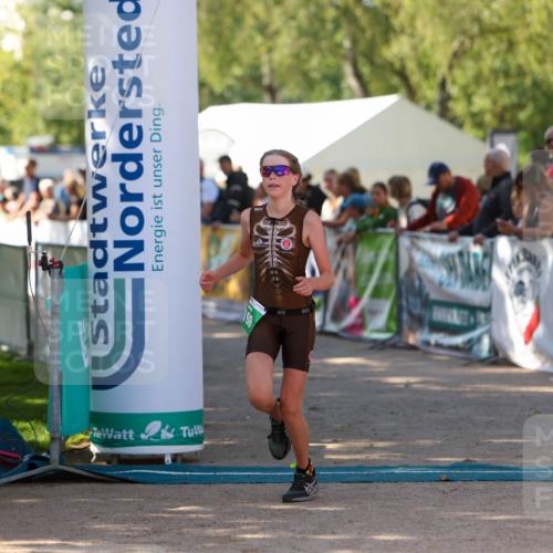 01.09.2024 - 17. Tribühne Triathlon Michael Strokosch http://msf.ph/oto/6902932 01.09.2024 11:02:15 Ziel 198 meine-sportfotos.de
