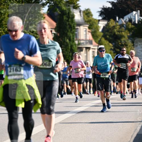 01.09.2024 - BARMER Alsterlauf Dr. Thomas Lammeyer http://msf.ph/oto/6902970 01.09.2024 09:39:41 Laufen 2163, 068, 4901, 4008, 4610 meine-sportfotos.de