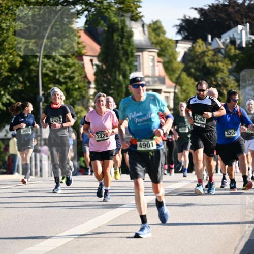 01.09.2024 - BARMER Alsterlauf Dr. Thomas Lammeyer http://msf.ph/oto/6903033 01.09.2024 09:39:43 Laufen 3007, 2426, 2228, 4901, 4008, 4202 meine-sportfotos.de