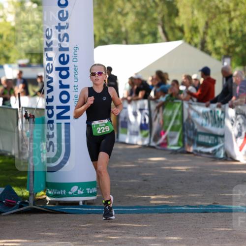 01.09.2024 - 17. Tribühne Triathlon Michael Strokosch http://msf.ph/oto/6903286 01.09.2024 11:03:23 Ziel 227, 229, 233 meine-sportfotos.de