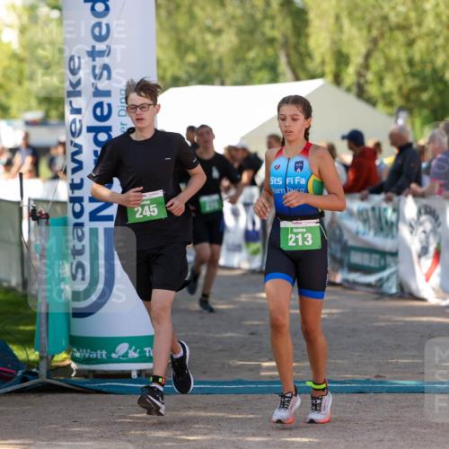 01.09.2024 - 17. Tribühne Triathlon Michael Strokosch http://msf.ph/oto/6903562 01.09.2024 11:03:49 Ziel 213, 245, 275 meine-sportfotos.de