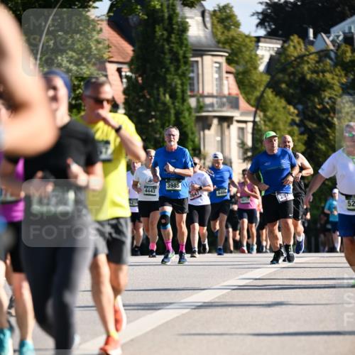 01.09.2024 - BARMER Alsterlauf Dr. Thomas Lammeyer http://msf.ph/oto/6903680 01.09.2024 09:40:01 Laufen 4443, 3985, 5219, 2647, 4466, 297, 52 meine-sportfotos.de