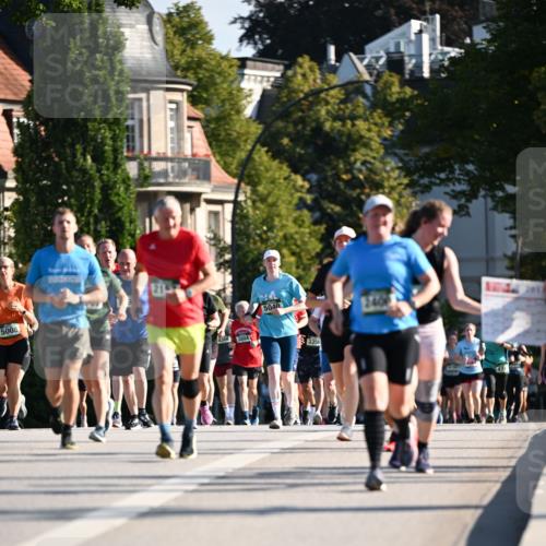 01.09.2024 - BARMER Alsterlauf Dr. Thomas Lammeyer http://msf.ph/oto/6904038 01.09.2024 09:40:11 Laufen 21, 5008, 5040, 3355, 1011 meine-sportfotos.de
