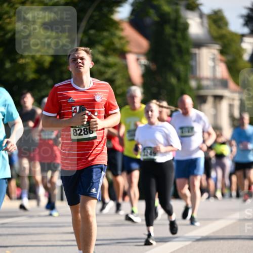 01.09.2024 - BARMER Alsterlauf Dr. Thomas Lammeyer http://msf.ph/oto/6904356 01.09.2024 09:40:23 Laufen 8286 meine-sportfotos.de