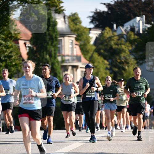 01.09.2024 - BARMER Alsterlauf Dr. Thomas Lammeyer http://msf.ph/oto/6904498 01.09.2024 09:40:29 Laufen 3084, 496, 4195, 3444, 3444, 4268, 5022, 4266 meine-sportfotos.de
