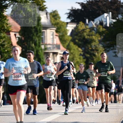 01.09.2024 - BARMER Alsterlauf Dr. Thomas Lammeyer http://msf.ph/oto/6904499 01.09.2024 09:40:29 Laufen 3084, 3444, 449, 4195, 4268, 022, 4266 meine-sportfotos.de
