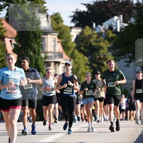 01.09.2024 - BARMER Alsterlauf Dr. Thomas Lammeyer http://msf.ph/oto/6904506 01.09.2024 09:40:30 Laufen 3084, 4496, 5444, 3444, 4268, 4266, 2614 meine-sportfotos.de