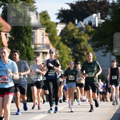 01.09.2024 - BARMER Alsterlauf Dr. Thomas Lammeyer http://msf.ph/oto/6904507 01.09.2024 09:40:30 Laufen 4195, 3084, 3444, 3444, 4266, 4268, 2614 meine-sportfotos.de