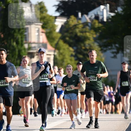 01.09.2024 - BARMER Alsterlauf Dr. Thomas Lammeyer http://msf.ph/oto/6904512 01.09.2024 09:40:30 Laufen 4195, 4496, 3444, 3444, 426, 4266, 2614 meine-sportfotos.de