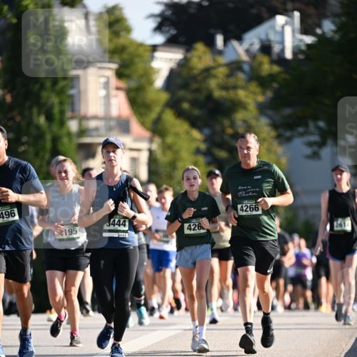 01.09.2024 - BARMER Alsterlauf Dr. Thomas Lammeyer http://msf.ph/oto/6904513 01.09.2024 09:40:30 Laufen 496, 195, 3444, 3444, 426, 4266 meine-sportfotos.de