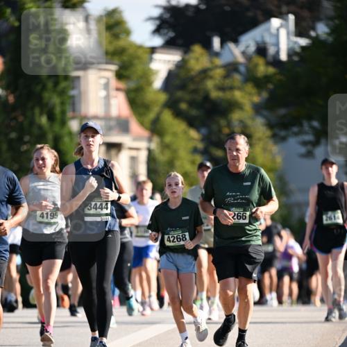 01.09.2024 - BARMER Alsterlauf Dr. Thomas Lammeyer http://msf.ph/oto/6904531 01.09.2024 09:40:31 Laufen 4195, 3444, 3444, 4268, 266, 2616 meine-sportfotos.de