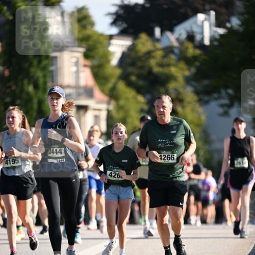 01.09.2024 - BARMER Alsterlauf Dr. Thomas Lammeyer http://msf.ph/oto/6904545 01.09.2024 09:40:31 Laufen 3444, 4195, 3444, 426, 4266 meine-sportfotos.de