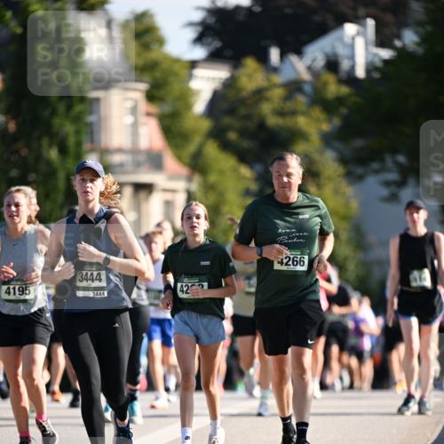 01.09.2024 - BARMER Alsterlauf Dr. Thomas Lammeyer http://msf.ph/oto/6904557 01.09.2024 09:40:31 Laufen 4195, 3444, 3444, 42, 4266 meine-sportfotos.de