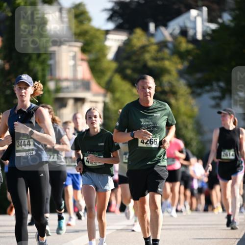 01.09.2024 - BARMER Alsterlauf Dr. Thomas Lammeyer http://msf.ph/oto/6904579 01.09.2024 09:40:32 Laufen 3444, 3444, 4266 meine-sportfotos.de