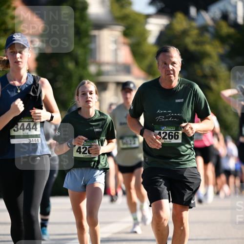 01.09.2024 - BARMER Alsterlauf Dr. Thomas Lammeyer http://msf.ph/oto/6904632 01.09.2024 09:40:34 Laufen 5, 3444, 3444, 35, 135, 4266, 42 meine-sportfotos.de