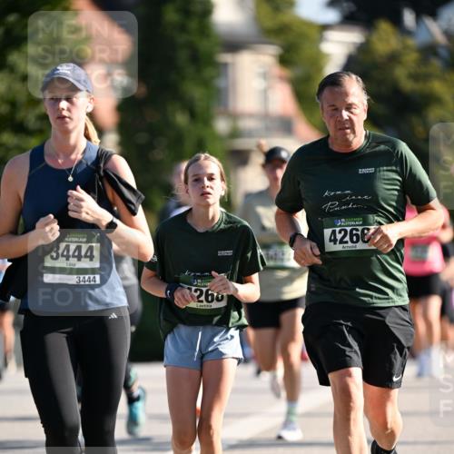 01.09.2024 - BARMER Alsterlauf Dr. Thomas Lammeyer http://msf.ph/oto/6904644 01.09.2024 09:40:34 Laufen 35, 35, 35, 4266, 3444, 3444, 260 meine-sportfotos.de