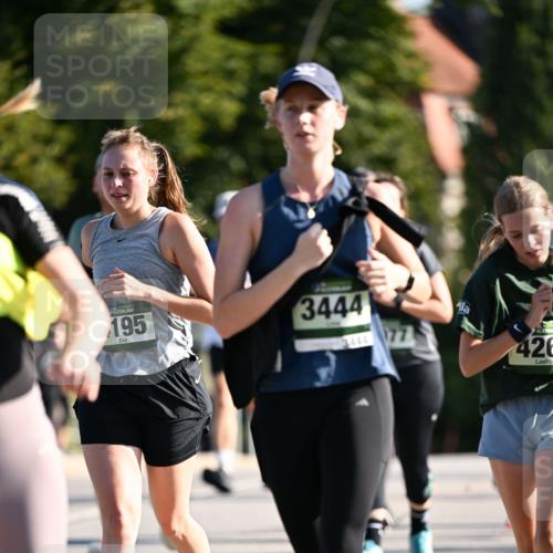 01.09.2024 - BARMER Alsterlauf Dr. Thomas Lammeyer http://msf.ph/oto/6904658 01.09.2024 09:40:35 Laufen 195, 3444, 444, 426 meine-sportfotos.de
