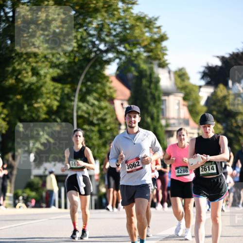 01.09.2024 - BARMER Alsterlauf Dr. Thomas Lammeyer http://msf.ph/oto/6904752 01.09.2024 09:40:39 Laufen 51, 3062, 4286, 2614 meine-sportfotos.de