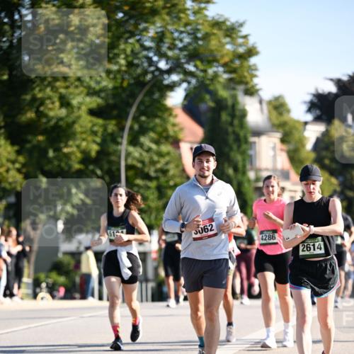 01.09.2024 - BARMER Alsterlauf Dr. Thomas Lammeyer http://msf.ph/oto/6904759 01.09.2024 09:40:39 Laufen 19, 062, 4286, 2614 meine-sportfotos.de