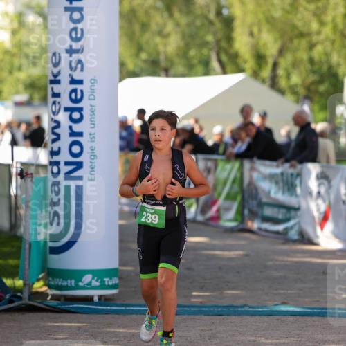 01.09.2024 - 17. Tribühne Triathlon Michael Strokosch http://msf.ph/oto/6904929 01.09.2024 11:06:23 Ziel 239 meine-sportfotos.de