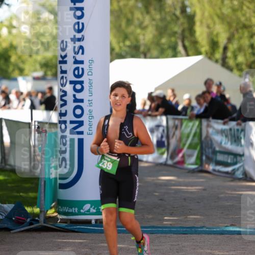 01.09.2024 - 17. Tribühne Triathlon Michael Strokosch http://msf.ph/oto/6904931 01.09.2024 11:06:23 Ziel 239 meine-sportfotos.de