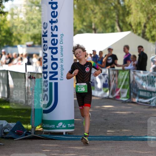 01.09.2024 - 17. Tribühne Triathlon Michael Strokosch http://msf.ph/oto/6905266 01.09.2024 11:07:22 Ziel 236 meine-sportfotos.de