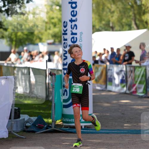 01.09.2024 - 17. Tribühne Triathlon Michael Strokosch http://msf.ph/oto/6905276 01.09.2024 11:07:23 Ziel 236 meine-sportfotos.de