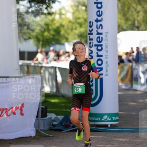 01.09.2024 - 17. Tribühne Triathlon Michael Strokosch http://msf.ph/oto/6905284 01.09.2024 11:07:23 Ziel 236 meine-sportfotos.de